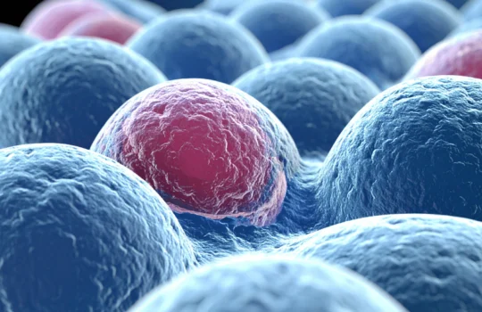 Luta contra o câncer