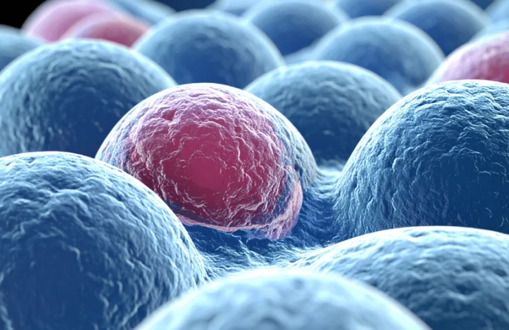 Luta contra o câncer