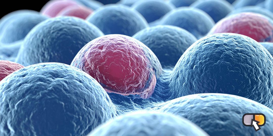 Luta contra o câncer